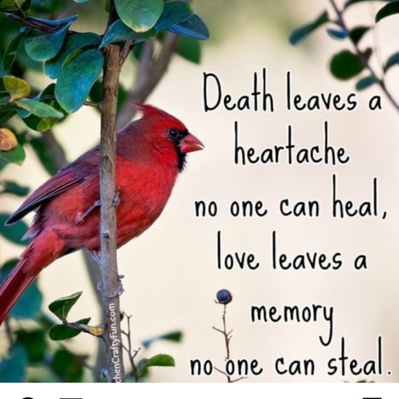 HI !! Thank you for stopping by - Picture 16 of 16